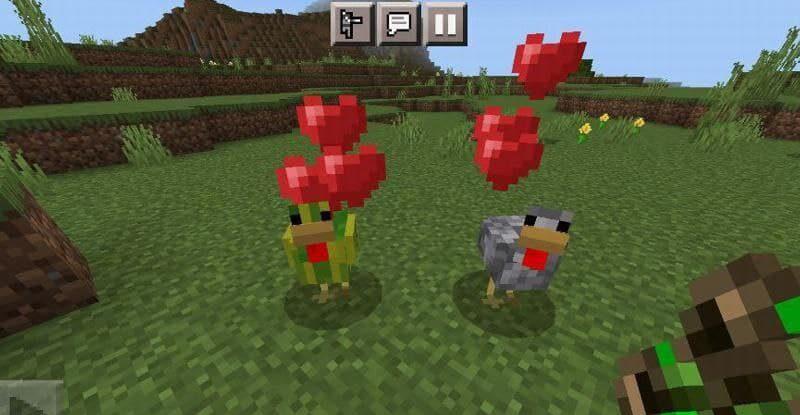 Chicken Mod for Minecraft PE