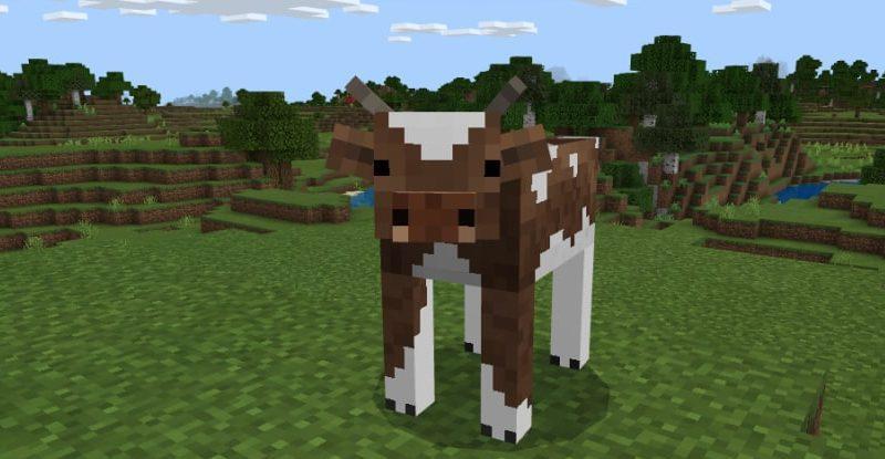 Minecraft PE Realistic Texture Pack
