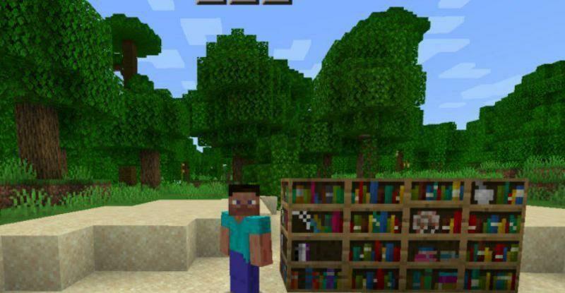 Minecraft PE Bookshelf Mod