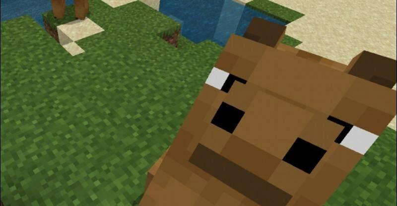 Minecraft PE Camel Mod