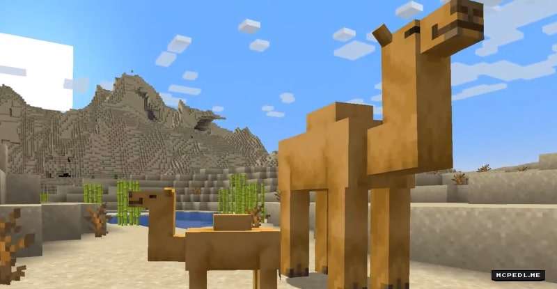 Download Minecraft PE 1.20.0.50, 1.20.0.10 and 1.20.0 with Camel on Android