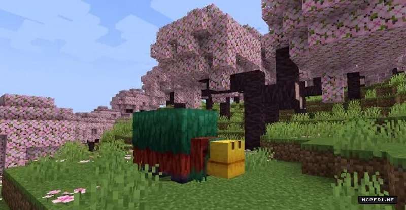 Minecraft apk 1.20.0.20 Download - MCPEDL