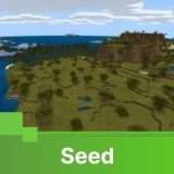 Seed brings together many biomes (1.14+)