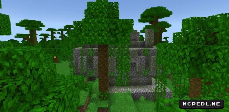 New Survival Seed Map