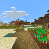 2 Villages And Sand Temple Behind Spawn! (Seed)