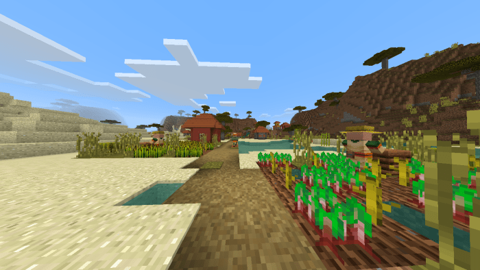2 Villages And Sand Temple Behind Spawn! (Seed)