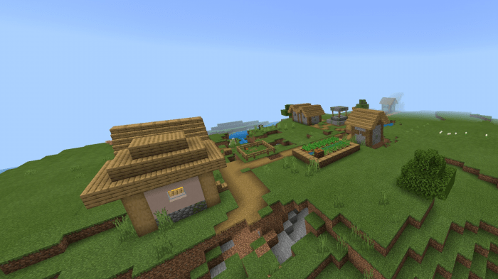 Mushroom Biome with a Ravine and Village Seed